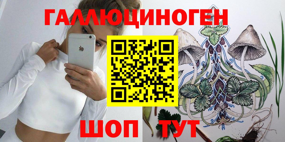 Чита  Галлюциногенные грибы GOLDEN TEACHER  Вход с VPN 